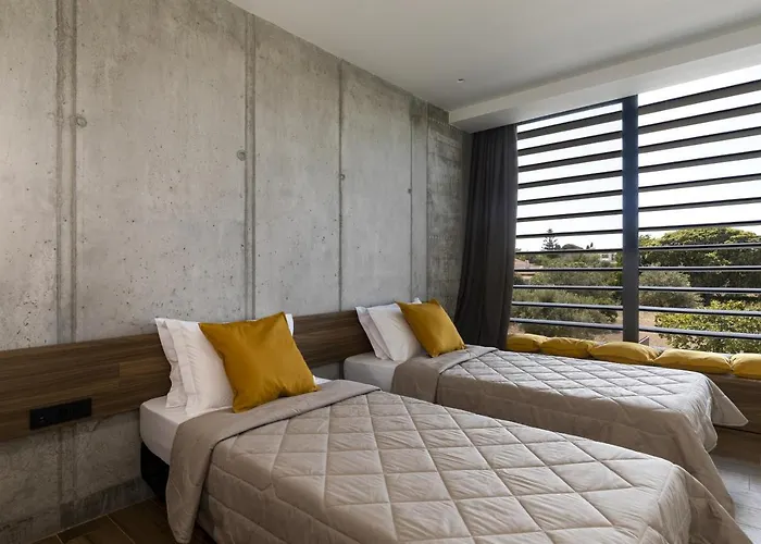 Momentum إياليسوس