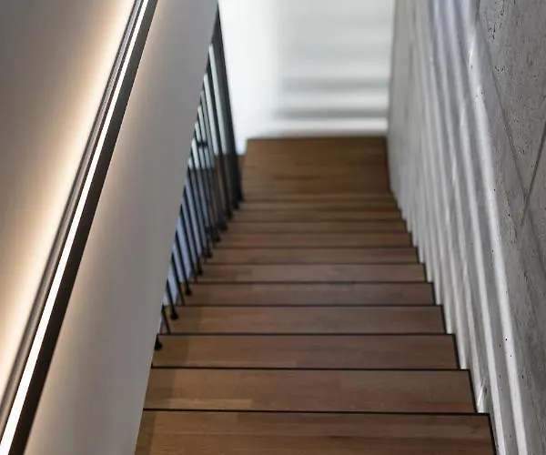 Momentum فيلة إياليسوس