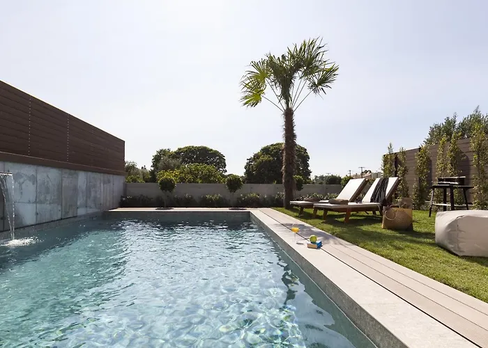 Momentum * إياليسوس