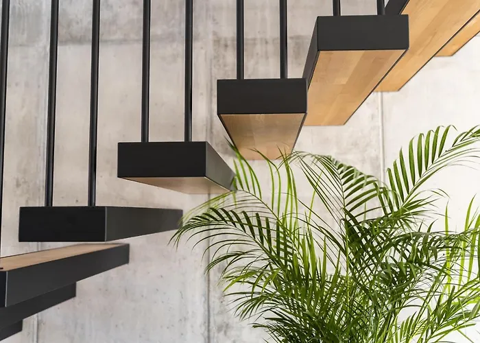 فيلة Momentum إياليسوس